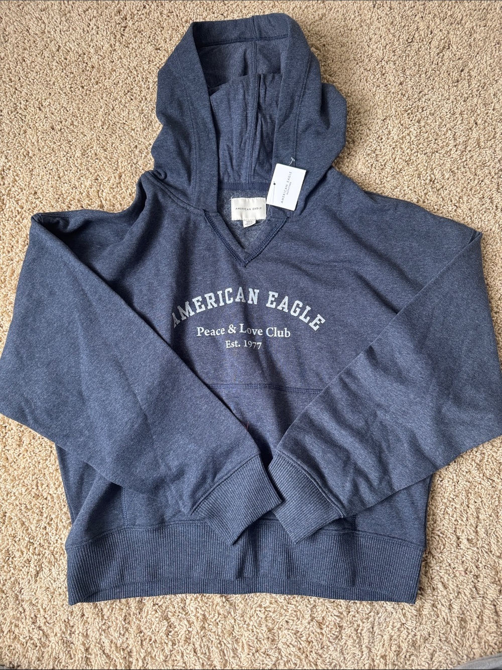 American Eagle Outfitters Men's Heather Navy Pullover Hoodie
